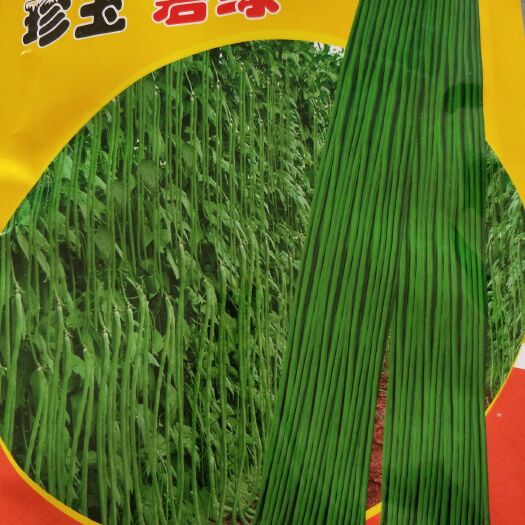 潢川县长青豆角种子 一米长青豆角，每袋200克