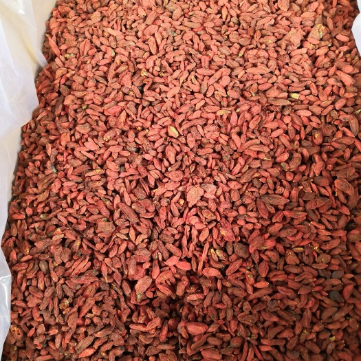 成都宁夏枸杞 合格品