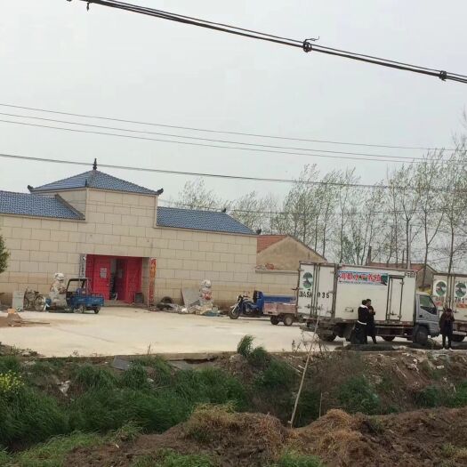 应城市小龙虾苗