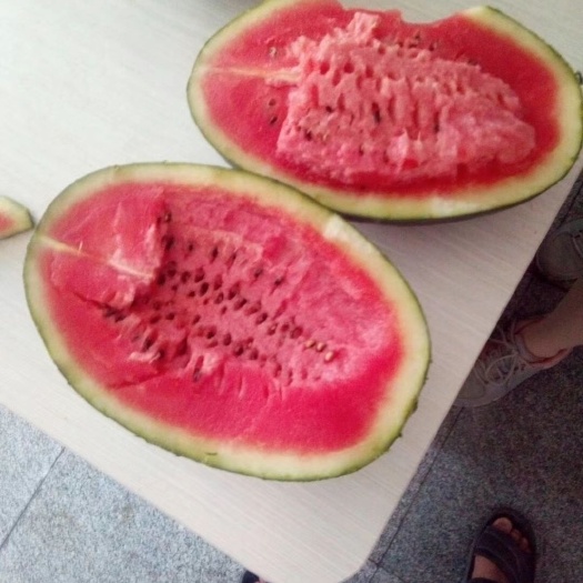 黑美人西瓜   六月份我处各品种西瓜大量有货