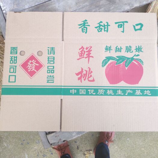 襄樊纸箱