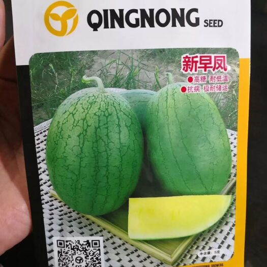 黄瓤西瓜种子 新早凤 高贵高品质，极早熟