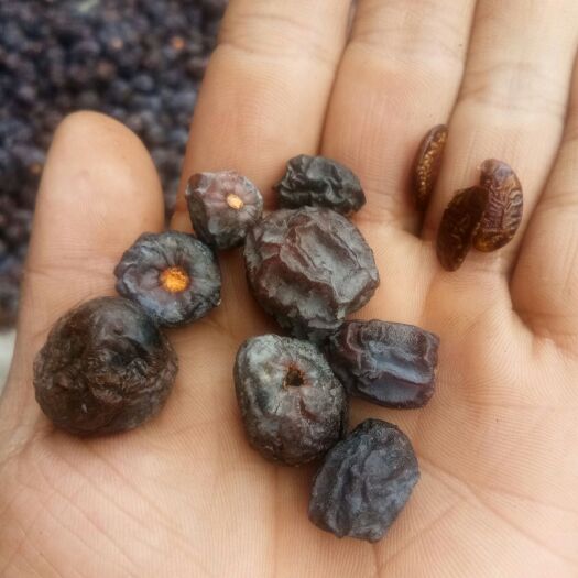 涉县有核黑枣，种植的黑枣，柿子类，产地直销一手货源量大优惠