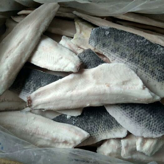 茂名沙塘鳢  人工养殖 1-1.5公斤 黑鱼（生鱼，）