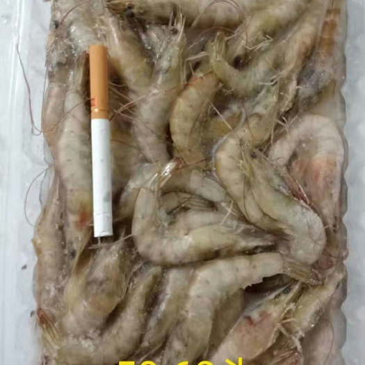 黄骅市皮皮虾