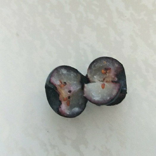 靖宇县美登蓝莓 2 - 4mm以上 鲜果