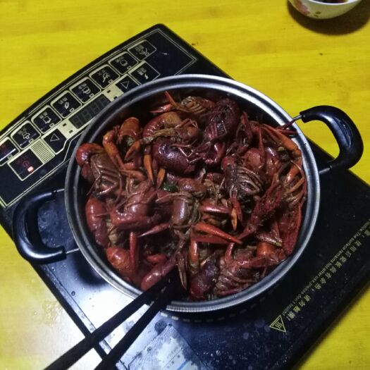 石首市中国小龙虾 2钱以下 人工养殖