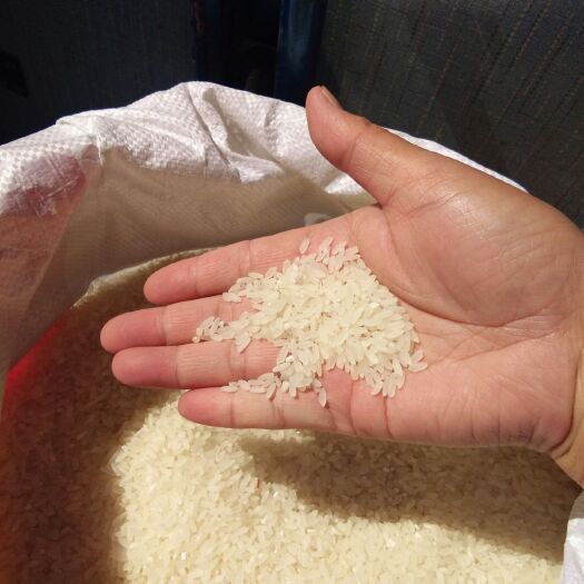 哈尔滨香米 10斤不抛光不打蜡原味！