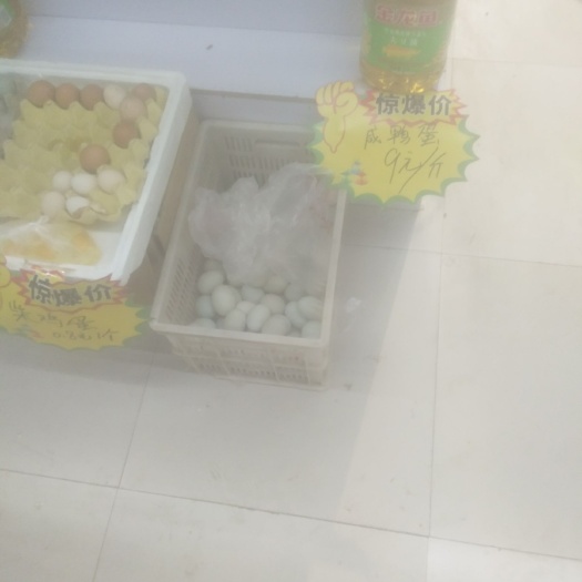 周口青皮鸭蛋 食用 散装