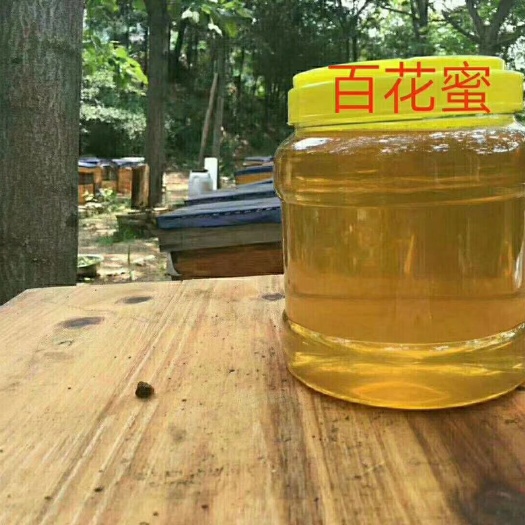 临泉县 天然自家土蜂蜜