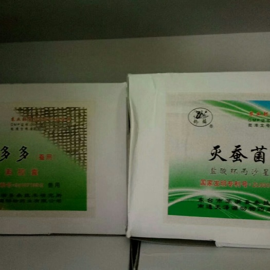 大姚县桑蚕