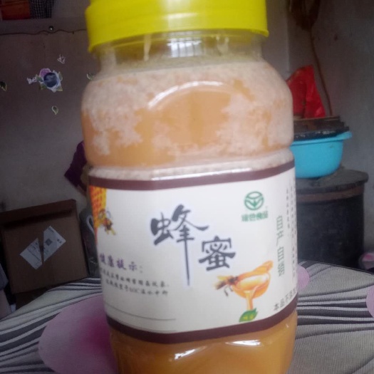 岷县中华蜜蜂