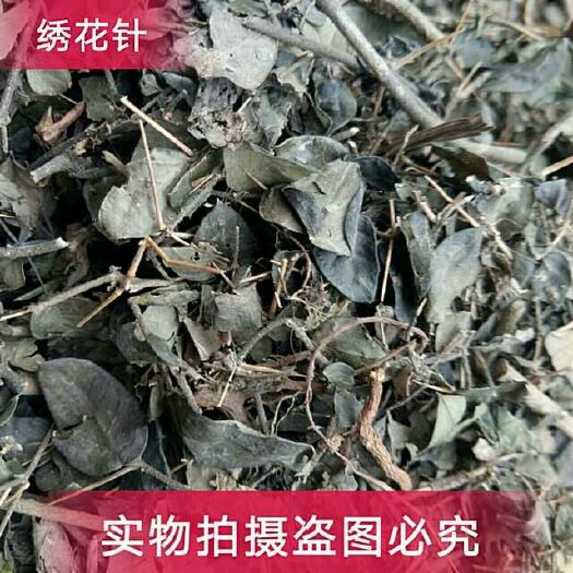 安国市绣花针 干
