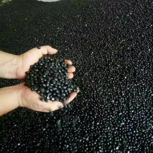 单县牡丹籽