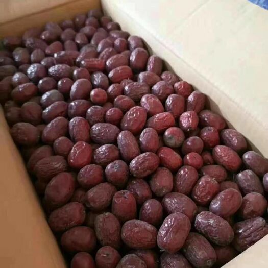 南阳灰枣 统货