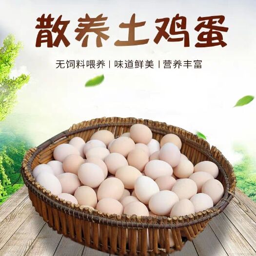 蒙阴县土鸡蛋 食用 箱装