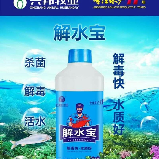 郑州虾饲料 让水清爽鲜活，解水体毒