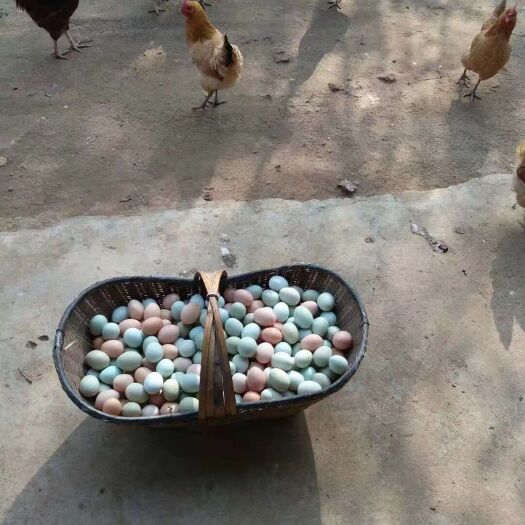 孝感土鸡蛋 食用 简包装