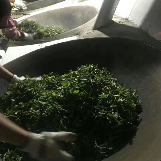 镇康县云南绿茶 一级 散装