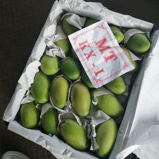 凭祥市玉芒  4两以上 一级