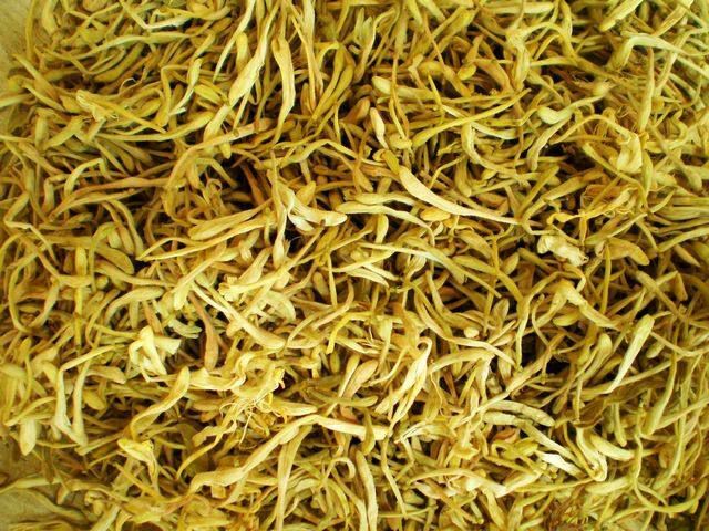 大悟县四季金银花