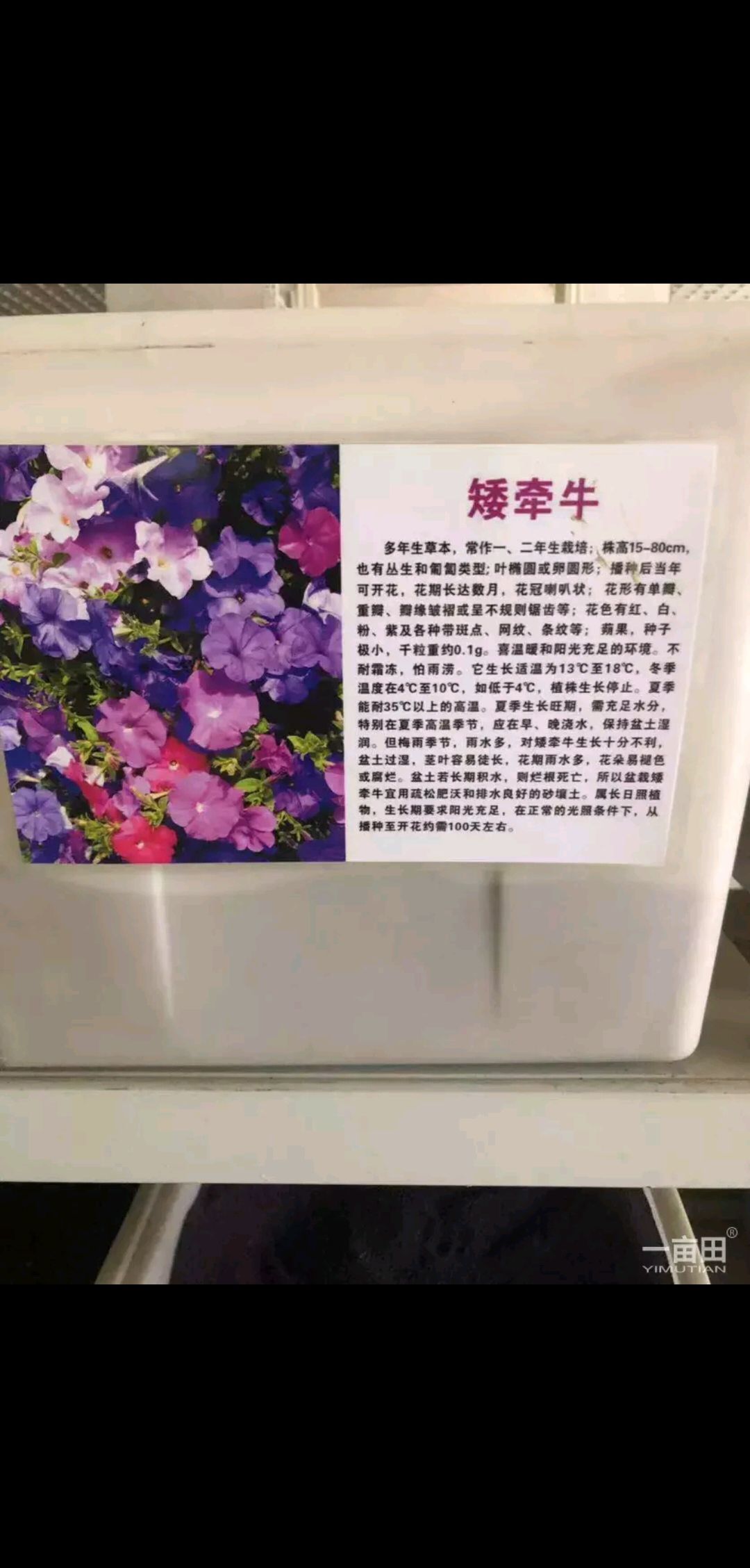 牽?；ǚN子 耐寒耐高溫。