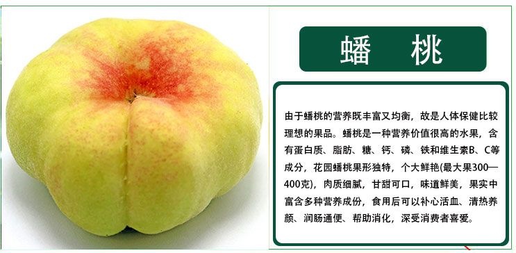 沭阳县黑桃苗  0.5~1米 早熟晚熟桃树果树苗全国都适合种