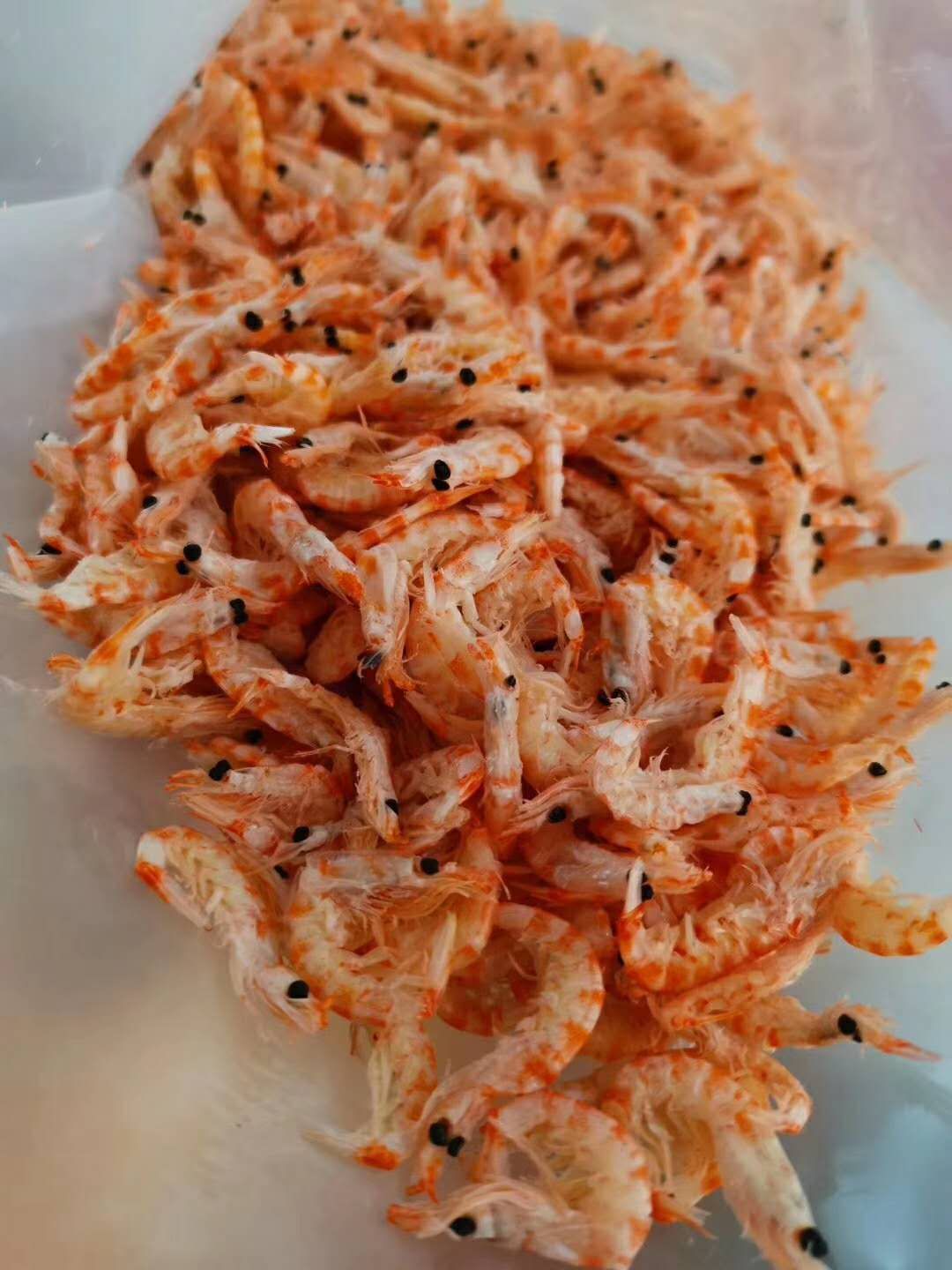 东港市磷虾干  磷虾皮