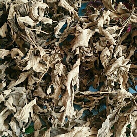 蕲春县蕲春县蕲艾叶中药材批发零售产地直发