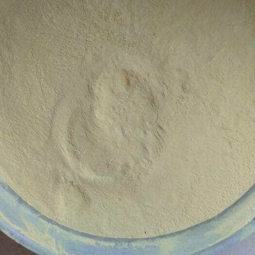 禄丰市松花粉 24个月以上