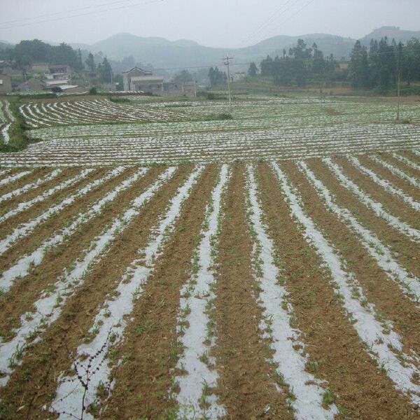 地膜机 白，黑色地膜薄膜塑料薄膜 地膜