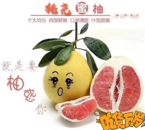梅州红肉蜜柚 2.5斤以上
