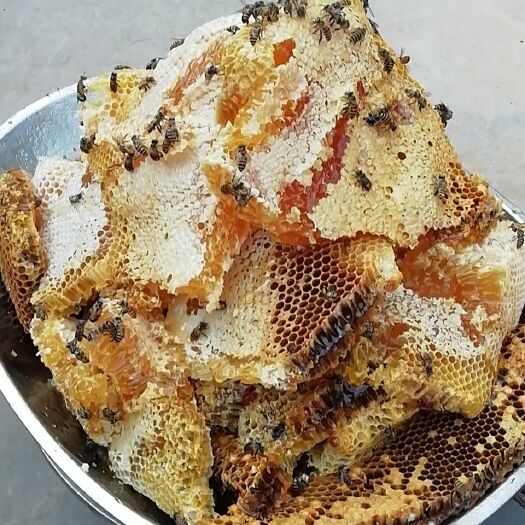 个旧市百花蜜 塑料瓶装 2年以上 