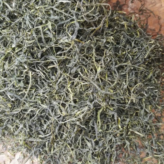 福鼎市云雾毛尖  一级 散装 2019年绿茶春茶500g包邮