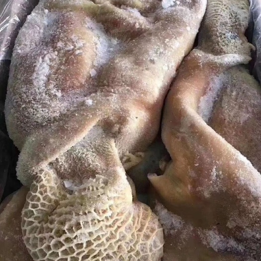 阳信县牛肚  熟丝肚领牛大肚金钱肚肚帽，出成率高
厂家直销，价格便宜