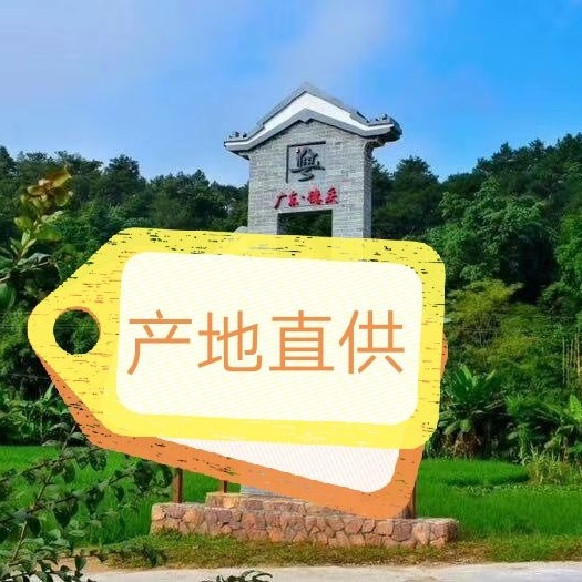 德庆县 中药材桂皮，干货香料《省内包邮》