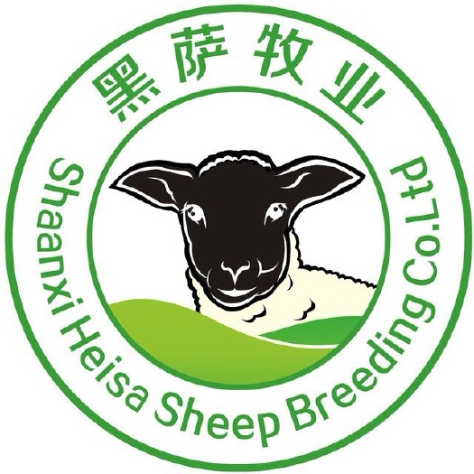 泾阳县黑头杜波 140-170斤