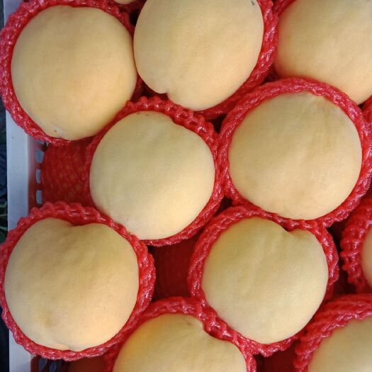 蒙阴县黄金蜜桃 90mm以上 5两以上