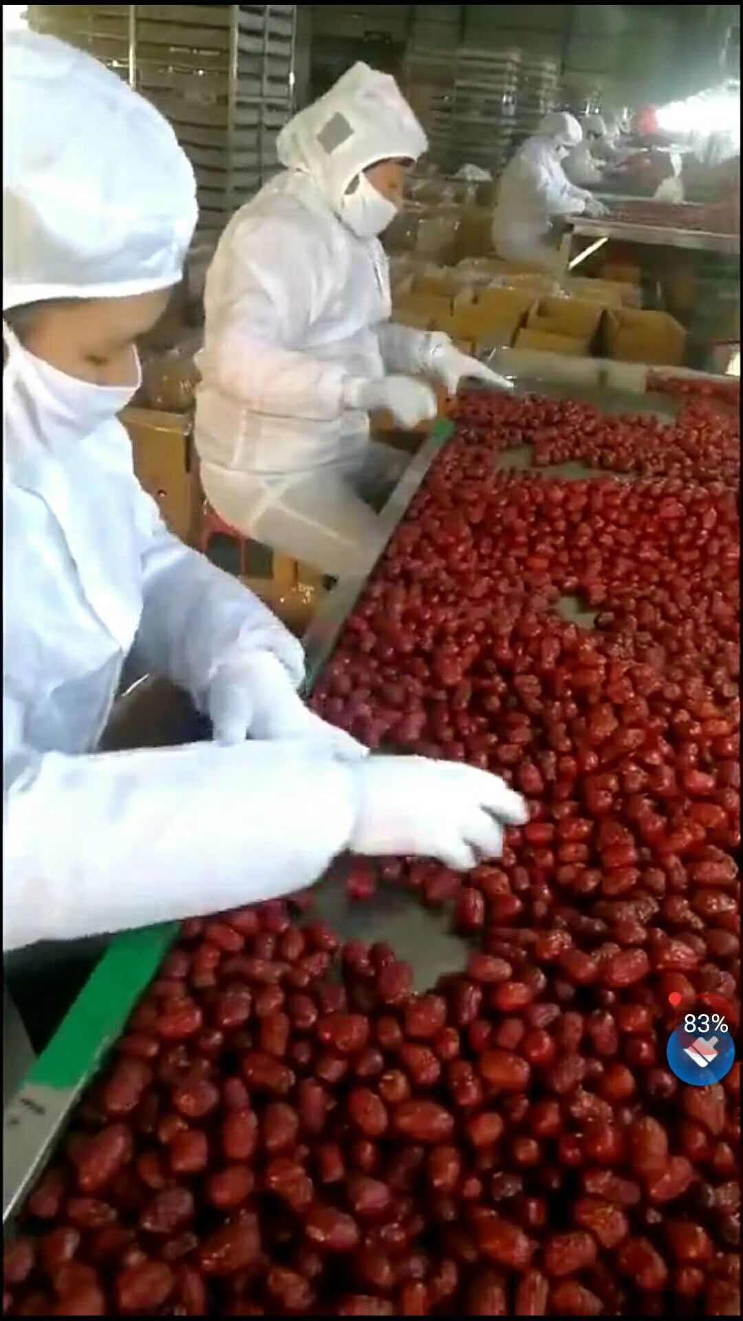 新疆红枣 合格品
