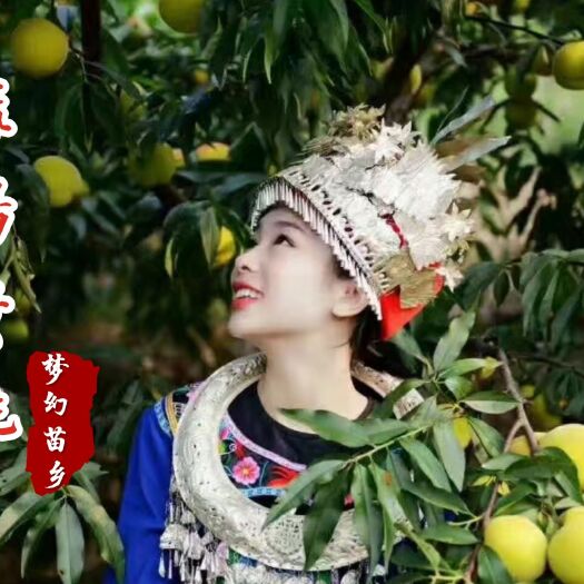 麻阳县黄桃83 60mm以上 3 - 4两