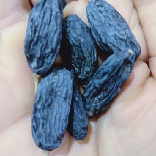 郑州【好货推荐】黑加仑葡萄干，新疆黑加仑葡萄干