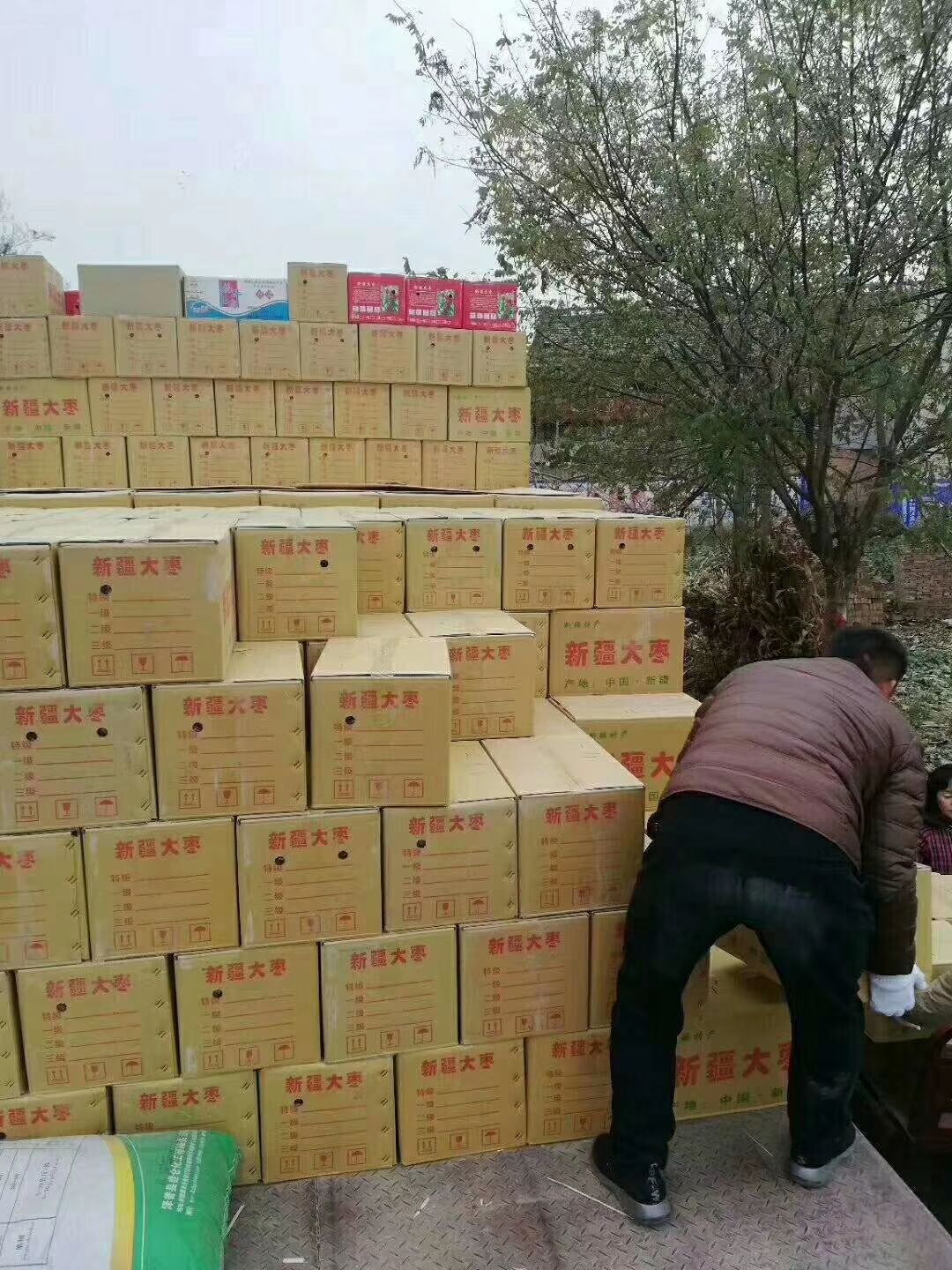 新疆红枣 合格品