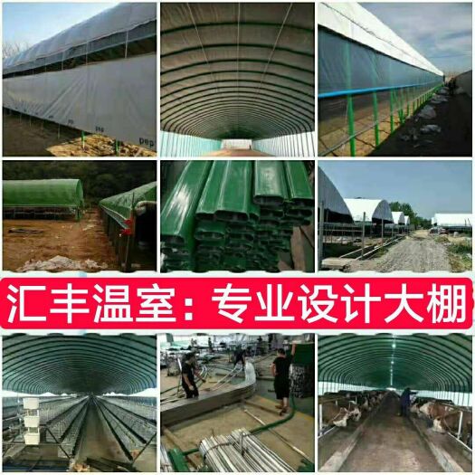 沭阳县大棚钢管 养殖棚养鸡养鸭养猪养羊养牛棚厂家直销批发