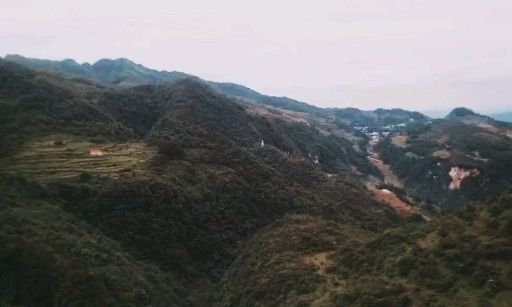 毕节野蜂蜜  大山里的纯蜂蜜