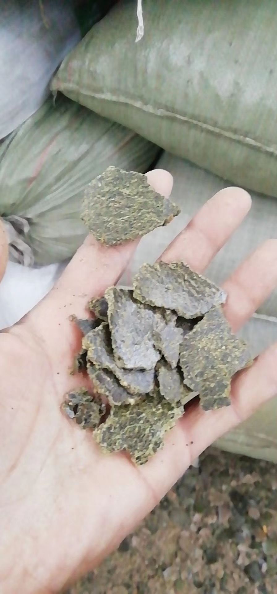 菜籽饼饲料 菜籽青饼供应