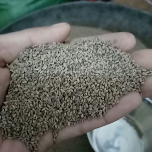 宁阳县小磨香油