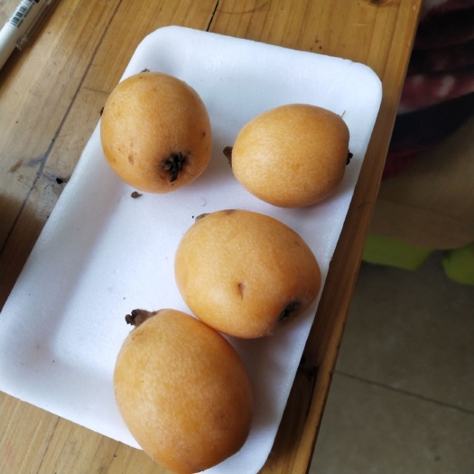 临海市原生枇杷 1两以上
