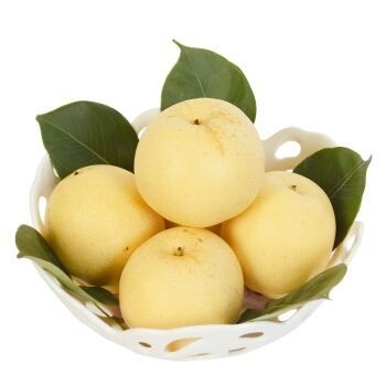 威县黄金梨 65mm以上 300-350g