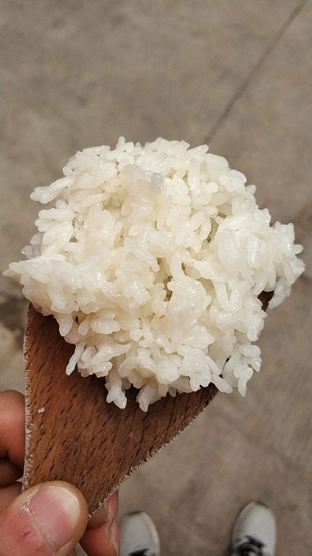 优质苏北大米珍珠米大米25KG/