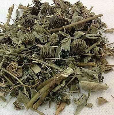 磨盘草 干净无杂干品